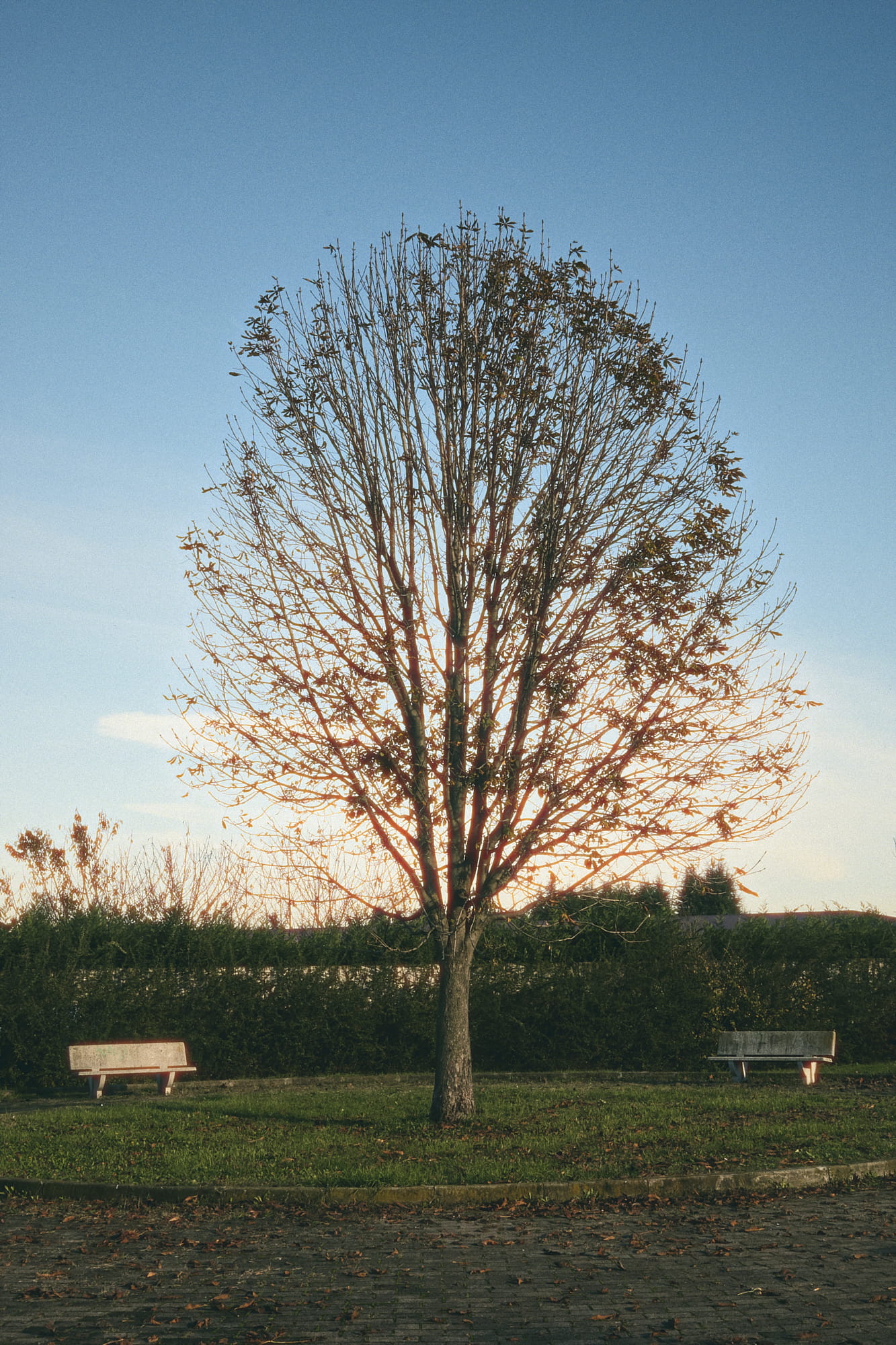 scene_13
